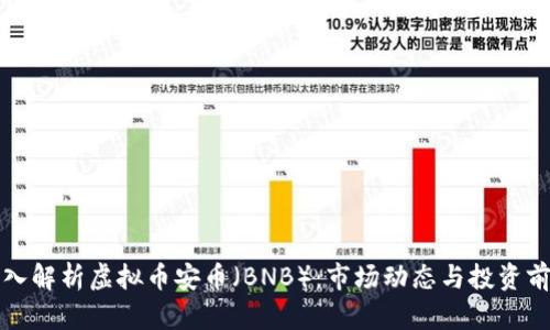 深入解析虚拟币安币（BNB）：市场动态与投资前景