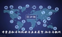 中资虚拟币的现状与未来