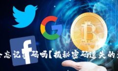 虚拟币创建人会忘记密码
