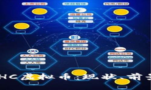 深入解析BCHC虚拟币：现状、前景及投资潜力