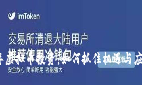 2017年虚拟币投资：如何抓住机遇与应对挑战