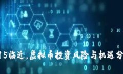 315临近，虚拟币投资风险