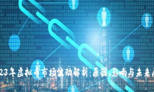 2023年虚拟币市场波动解析：原因、影响与未来展望