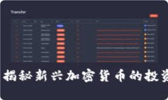 黑洞虚拟币：揭秘新兴加