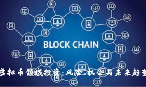 虚拟币领域投资：风险、机会与未来趋势