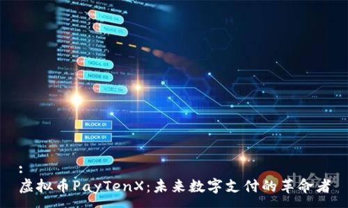 :
虚拟币PayTenX：未来数字支付的革命者