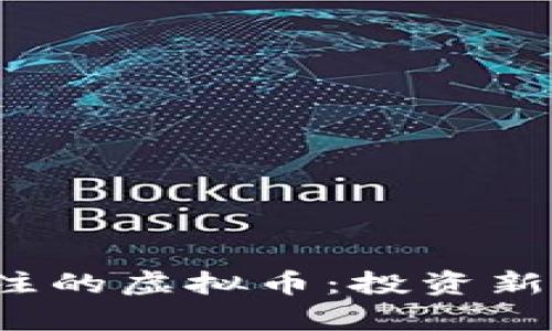 2023年值得关注的虚拟币：投资新机遇与风险分析