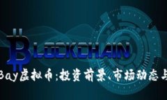 全面解析Bay虚拟币：投资