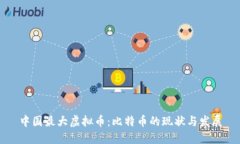 中国最大虚拟币：比特币