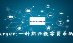 虚拟币Burger：一种新兴数