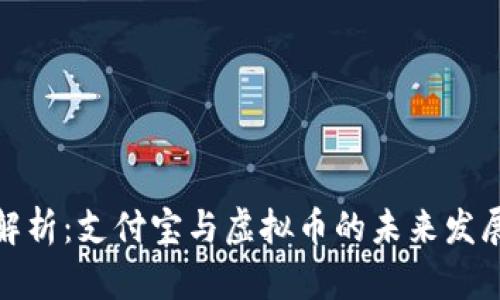 全面解析：支付宝与虚拟币的未来发展趋势