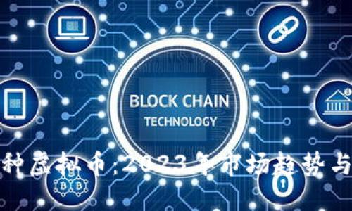 探索大币种虚拟币：2023年市场趋势与投资策略