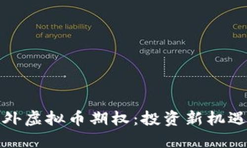 全面解读国外虚拟币期权：投资新机遇与风险评估