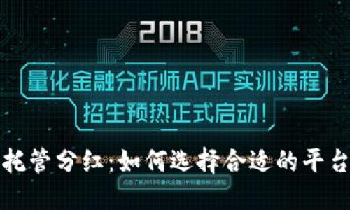 虚拟币托管分红：如何选择合适的平台与策略