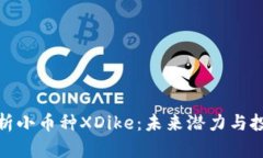 全面解析小币种XDike：未来