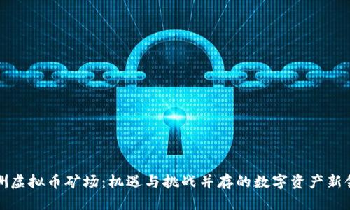 非洲虚拟币矿场：机遇与挑战并存的数字资产新领地