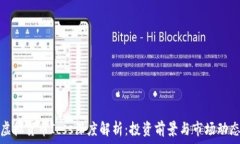   虚拟货币Icss深度解析：