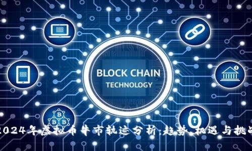 2024年虚拟币牛市轨迹分析：趋势、机遇与挑战