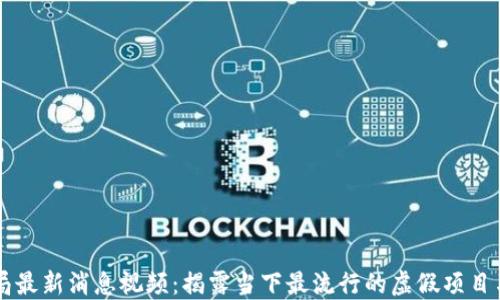 
虚拟币骗局最新消息视频：揭露当下最流行的虚假项目与投资陷阱