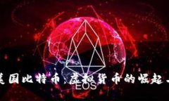 深入了解美国比特币：虚