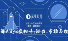 深入了解Vidyx虚拟币：潜力