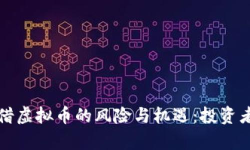 全面解析借虚拟币的风险与机遇：投资者必读指南