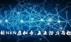 全面解析NKN虚拟币：未来