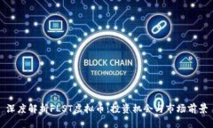 深度解析FLST虚拟币：投资