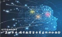 assembled  虚拟华币：揭开数