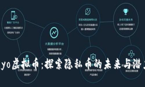 Ryo虚拟币：探索隐私币的未来与潜力