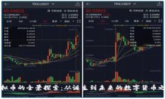 虚拟币的全景探索：从诞