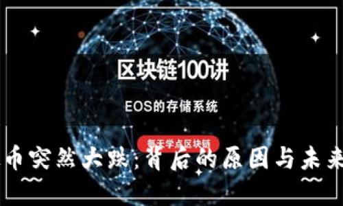 虚拟币突然大跌：背后的原因与未来展望