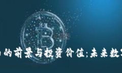 探索 BLK 虚拟币的前景与投