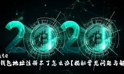 template
虚拟币钱包地址注册不了怎么办？揭秘常见问题与解决方案