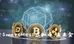 深入探索SmartMesh虚拟币：