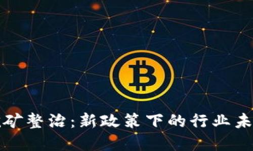 虚拟币挖矿整治：新政策下的行业未来与影响