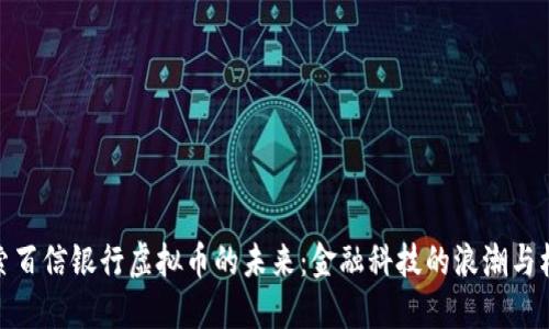 探索百信银行虚拟币的未来：金融科技的浪潮与机遇