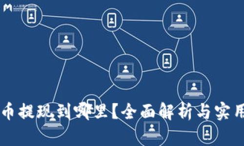 虚拟币提现到哪里？全面解析与实用指南