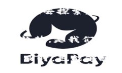   未来的数字财富：揭秘