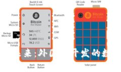 虚拟货币的未来：外国人