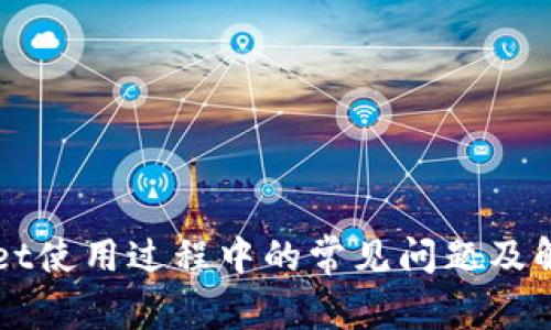 TPWallet使用过程中的常见问题及解决方法