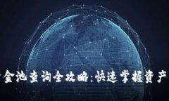 虚拟币资金池查询全攻略