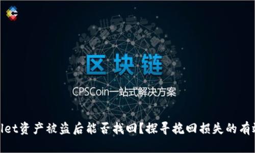 tpwallet资产被盗后能否找回？探寻挽回损失的有效途径