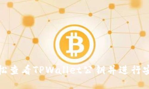 如何轻松查看TPWallet公钥并进行安全操作