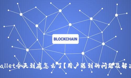 TP Wallet今天到底怎么了？用户遇到的问题及解决方案