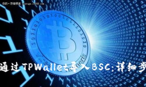 如何在电脑上通过TPWallet导入BSC：详细步骤与实用指南