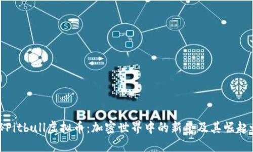 探秘Pitbull虚拟币：加密世界中的新星及其崛起之路