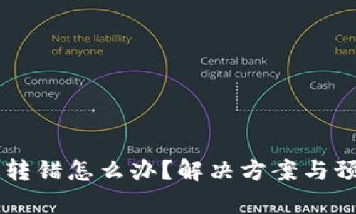 TPWallet通道转错怎么办？解决方案与预防技巧全解析