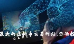 探索全球最大的虚拟币交
