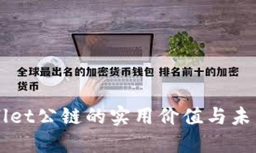 探讨TPWallet公链的实用价值与未来发展潜力